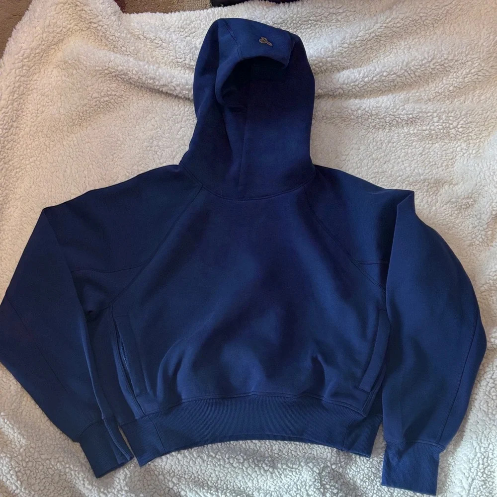 Aritzia Golden Fleece Cozy Blue Cropped Hoodie - Picture 1 of 7
